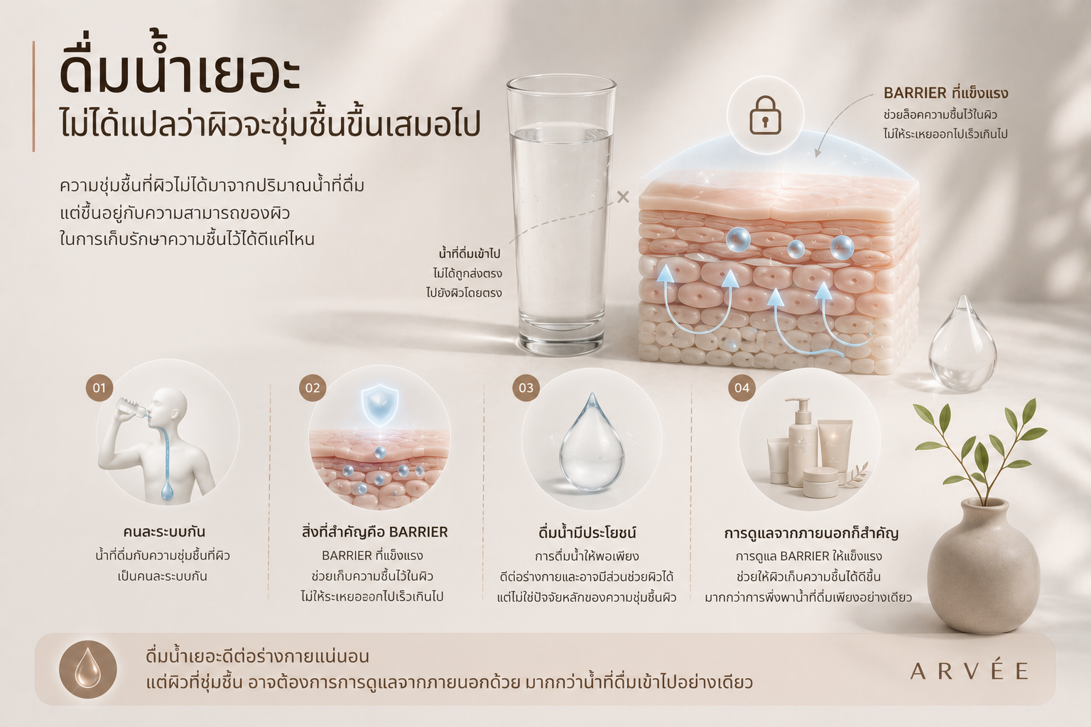 ความชุ่มชื้นที่ผิวมาจาก barrier ที่แข็งแรง ไม่ใช่จากปริมาณน้ำที่ดื่มเพียงอย่างเดียว