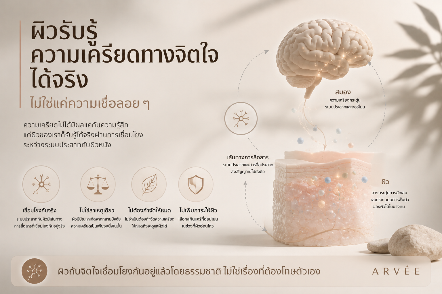 ความเครียดทางจิตใจมีผลต่อผิวได้จริงในบางคน ผ่านเส้นทางการสื่อสารระหว่างระบบประสาทกับผิว